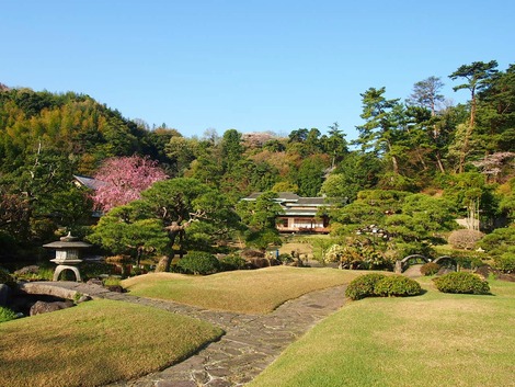 朝に庭 奥に「松風」が見えます