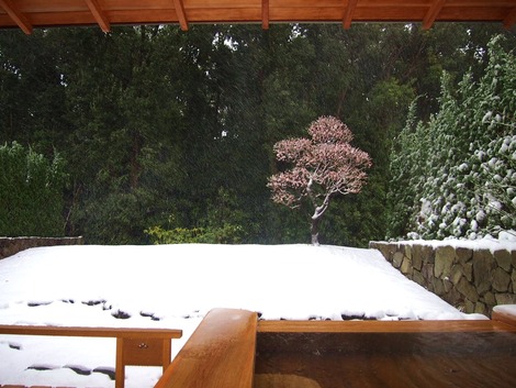2014,2 雪の赤沢迎賓館