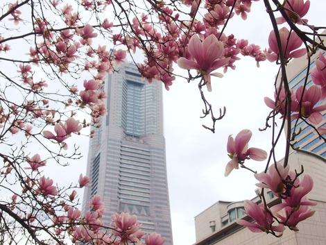 ランドマークタワー