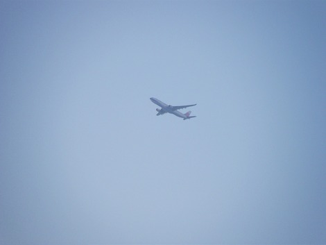 飛行機
