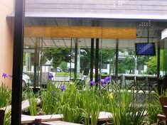 店内から外を見る
