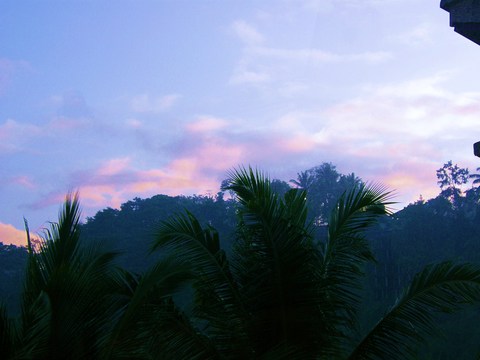 ¥Õ¥©¡¼¥·¡¼¥º¥ó¡¡¥µ¥ä¥ó¡¡ÌëÌÀ¤±