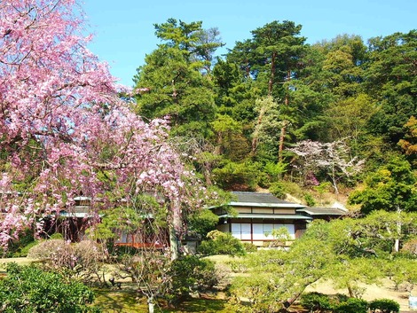 松風