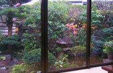 お庭が見えます