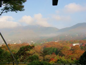 朝の景色