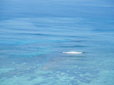 今日もいいお天気です!