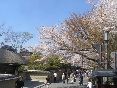 ねねの路