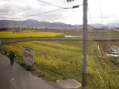 トロッコ亀岡駅付近