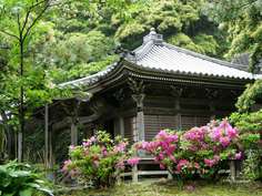 誕生寺 2