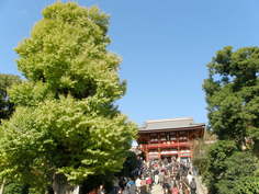 鶴岡八幡宮