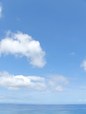 6日目朝