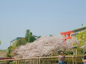 神宮道から