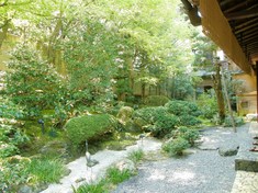 お庭の眺め