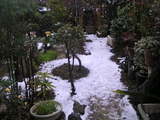 雪の日の庭