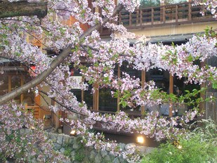 白川