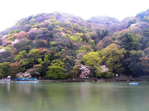 嵐山につきました!