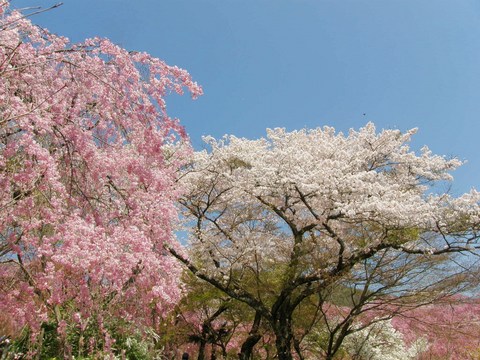 良いお天気!