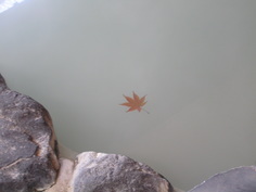 湯船の紅葉