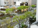 窓から見える景色