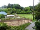 田舎の景色