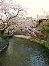 白川