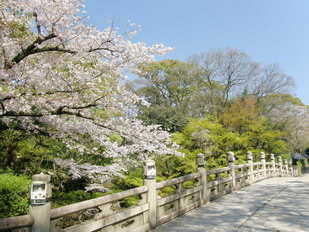 大谷廟1