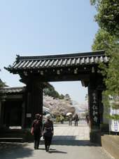仁和寺です