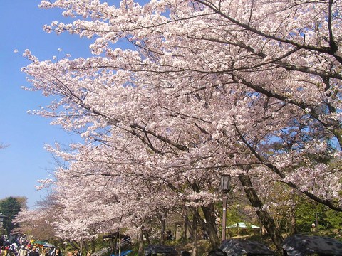 京都 高台寺