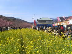 大混雑1