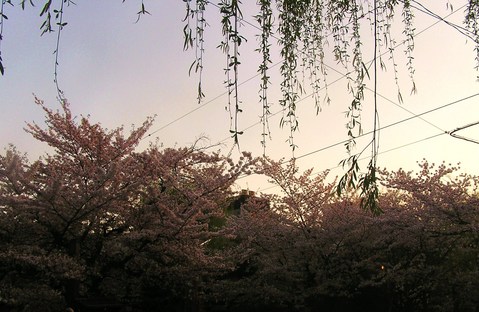 夕暮れの白川