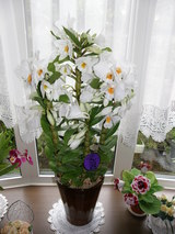 窓辺の花 1
