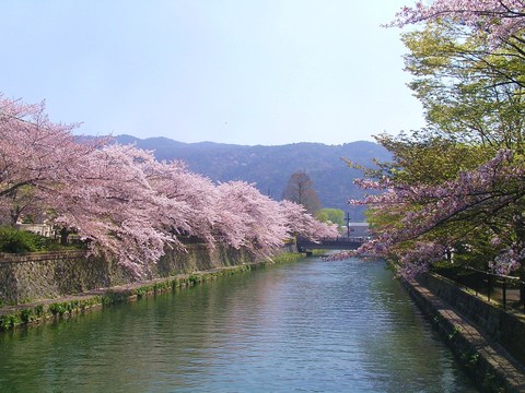 平安神宮