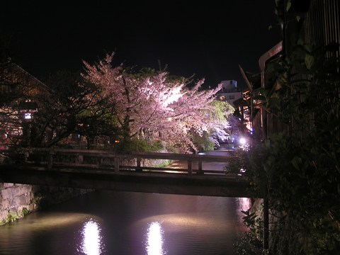 夜のおおざわ