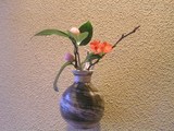椿