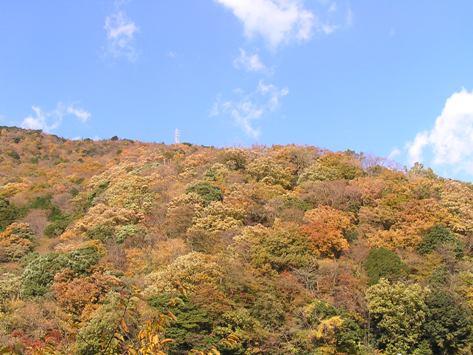 箱根湯本の紅葉