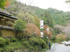 こんな景色です