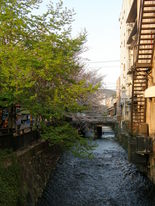 白川1