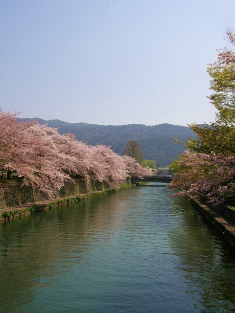琵琶湖疎水