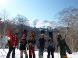 ȷ����
