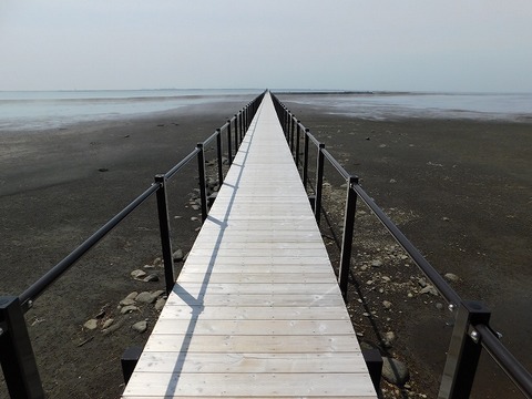 DSCN0479