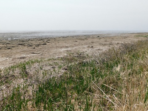 DSCN0472