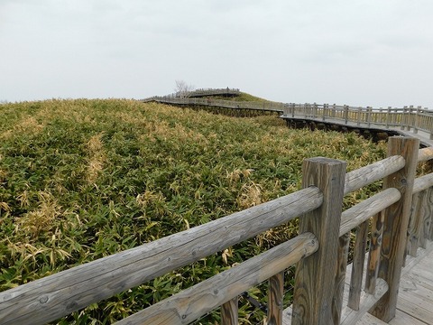 DSCN0547