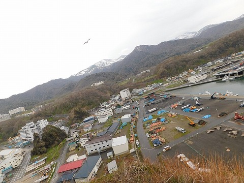 DSCN0587
