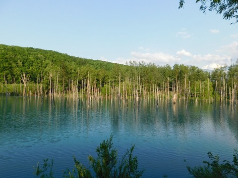 DSCN0032