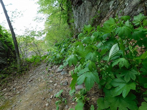 DSCN1158