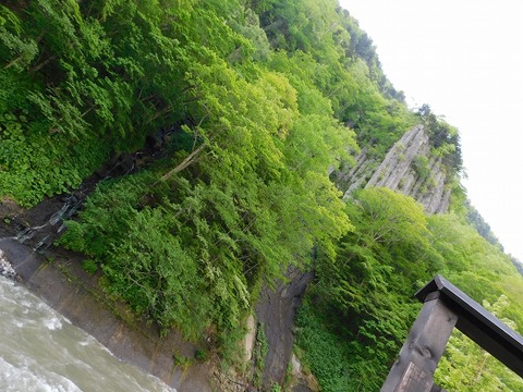 DSCN0016