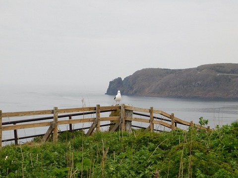 DSCN0591