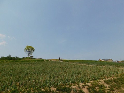 DSCN0063