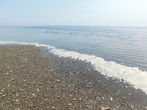 DSCN0487