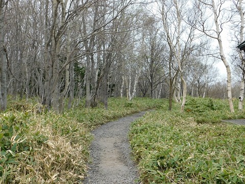 DSCN0524